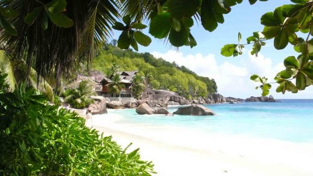 Ein tropischer Strand mit weißem Sand, türkisfarbenem Wasser und üppiger Vegetation.