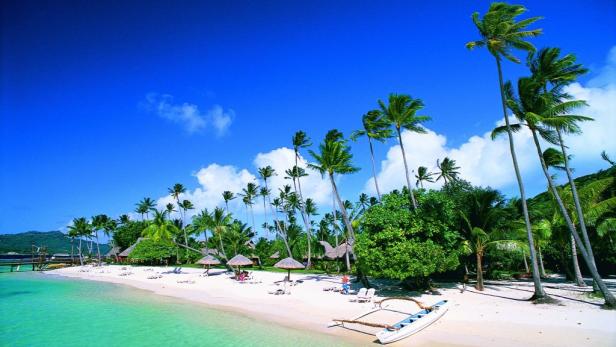 Ein tropischer Strand mit Palmen, weißem Sand und türkisfarbenem Wasser.