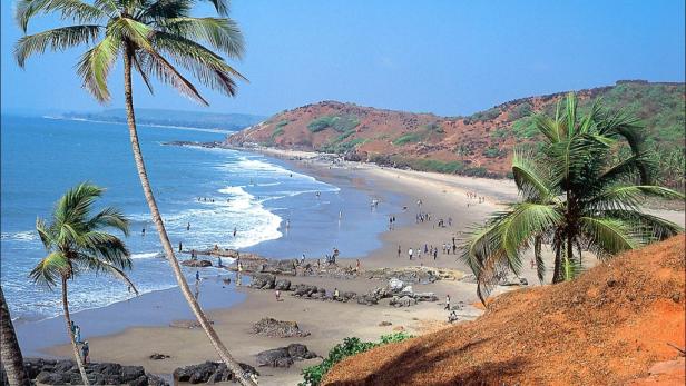 Ein belebter Strand mit Palmen und sanften Wellen an einem sonnigen Tag.