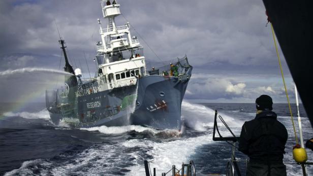 Sea Shepherd: Piraten für den guten Zweck