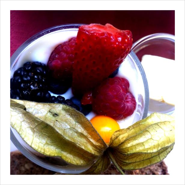 Ein Glas Joghurt mit frischen Beeren und einer Physalis garniert.