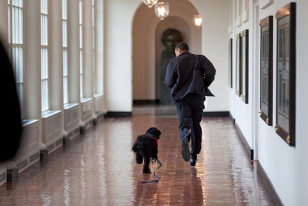 Obamas erste Amtszeit in Bildern