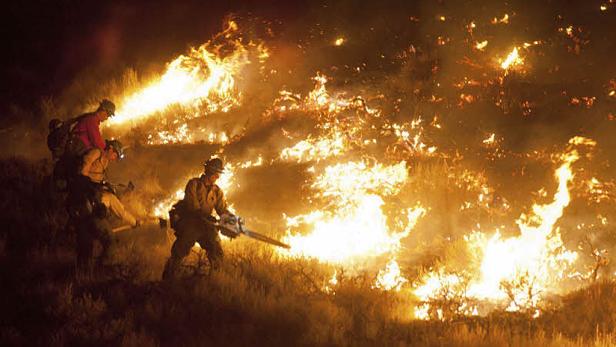 Mehrere Feuerwehrleute bekämpfen einen Waldbrand in der Nacht.