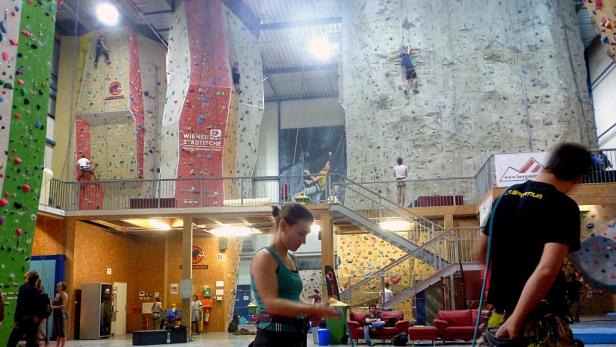 Mehrere Personen klettern in einer großen Kletterhalle an verschiedenen Wänden.