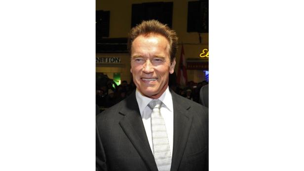 Arnold Schwarzenegger lächelt in einem dunklen Anzug und einer hellen Krawatte.
