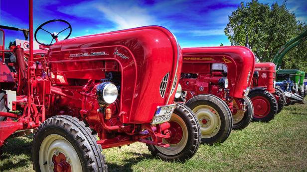 Mehrere rote Porsche Diesel Traktoren stehen auf einer Wiese.
