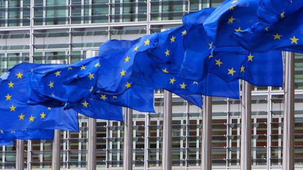 Die Europäische Bürgerinitiative