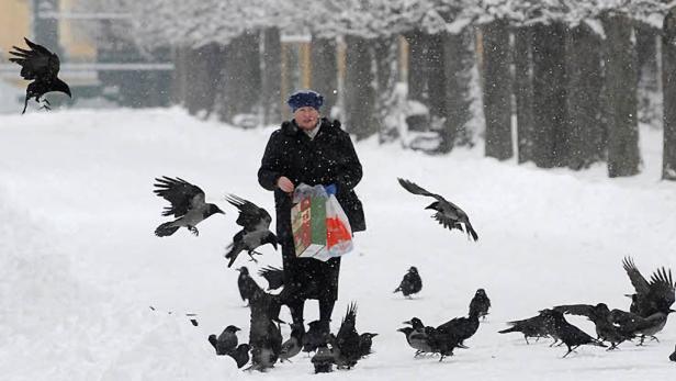 Eine ältere Frau füttert im Schnee eine Schar von Krähen.
