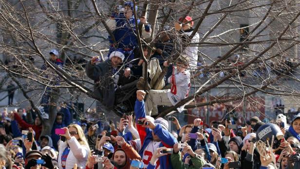Menschen klettern auf einen Baum, um eine Parade der New York Giants zu sehen.