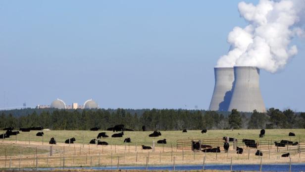 Eine Herde Kühe grast auf einer Weide vor einem Atomkraftwerk.