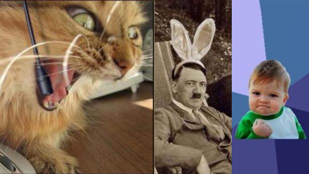 Das Bild zeigt eine Collage aus einer Katze mit Headset, Adolf Hitler mit Hasenohren und einem Meme-Baby.