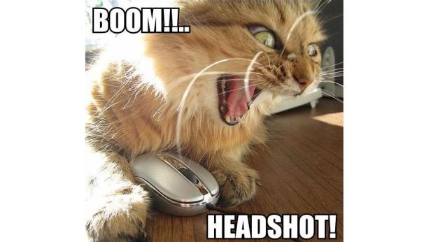 Eine Katze liegt auf einem Holztisch und „attackiert“ eine Computermaus.