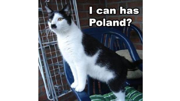 Eine schwarz-weiße Katze sitzt auf einem Stuhl.