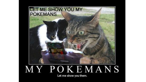 Zwei Katzen betrachten aufgeregt ein Pokémon-Spiel auf einem Handheld-Gerät.