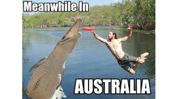 Ein Mann wirft eine Frisbee, die ein Krokodil im Wasser fangen will.