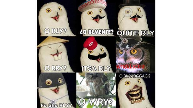 Eine Collage von neun stilisierten Eulen mit verschiedenen Hüten, Accessoires und Bildunterschriften.