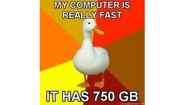 Ein Meme mit einer Ente, die besagt, dass der Computer schnell ist, weil er 750 GB hat.