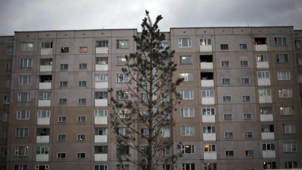 Ein Nadelbaum vor einem grauen Wohnhaus unter bewölktem Himmel.