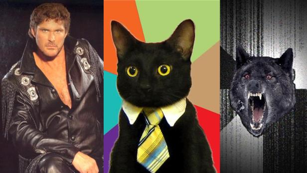 Ein Triptychon mit David Hasselhoff, einer Katze mit Krawatte und einem Wolf.