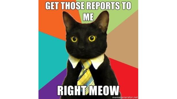 Eine schwarze Katze mit Anzug und Krawatte fordert Berichte an.