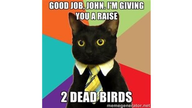 Ein schwarzer Kater im Anzug bietet „John“ eine Gehaltserhöhung in Form von zwei toten Vögeln an.
