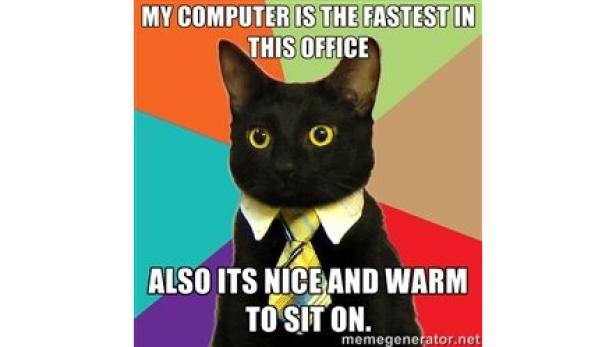 Ein Meme zeigt eine schwarze Katze mit Hemd und Krawatte vor einem bunten Hintergrund.