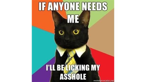 Eine schwarze Katze im Anzug mit Krawatte vor einem farbigen Hintergrund.