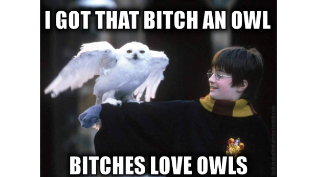 Harry Potter mit seiner Schneeeule Hedwig auf dem Arm.