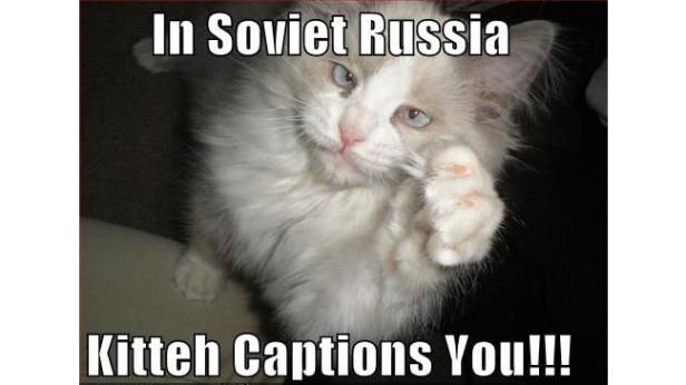 Eine weiße Katze streckt ihre Pfote in die Kamera.