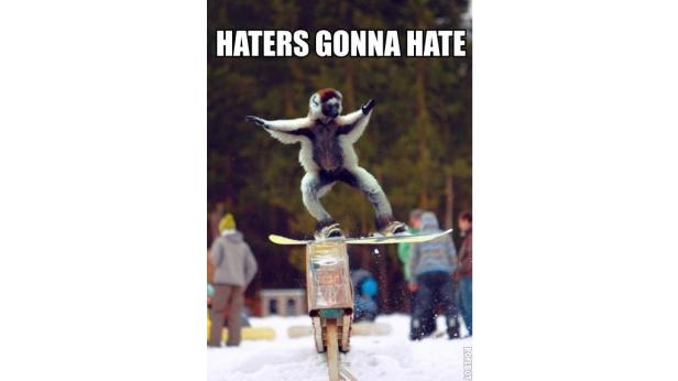 Ein Katta-Lemur steht auf einem Snowboard, mit dem Text „Haters Gonna Hate“ im oberen Bildbereich.