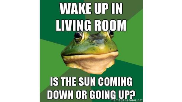 Ein Meme mit einem Frosch, der sich fragt, ob die Sonne auf- oder untergeht.