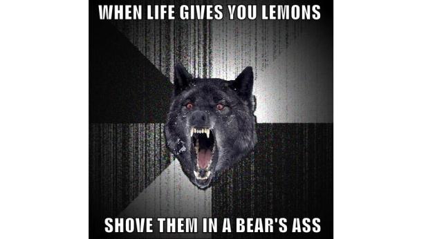 Der Kopf eines wütenden Wolfes mit dem Spruch „Wenn dir das Leben Zitronen gibt, schieb sie einem Bären in den Arsch“.