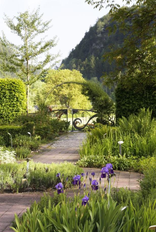 Alant bis Zistrose: Mandalas aus dem Klostergarten