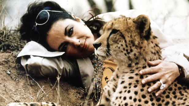 Elizabeth Taylor liegt mit einem Geparden auf dem Boden.