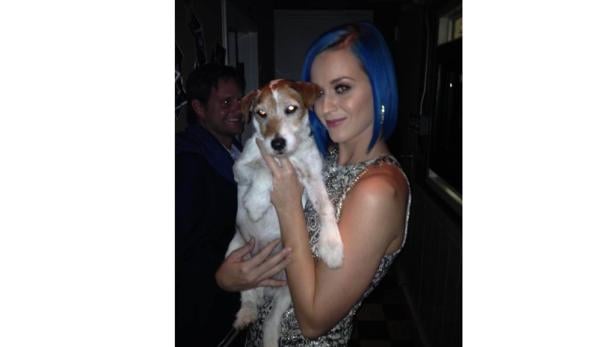 Twitter-Pics von den Oscarparties