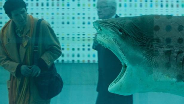Ein Mann und ein älterer Mann stehen vor einem Aquarium mit einem Hai.