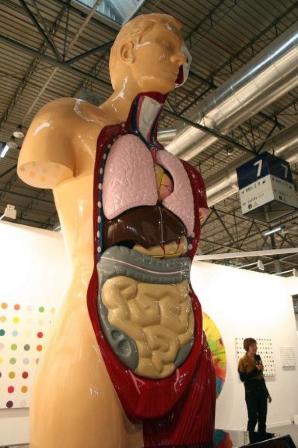 Eine große, aufgeschnittene Skulptur eines menschlichen Torsos zeigt die inneren Organe.