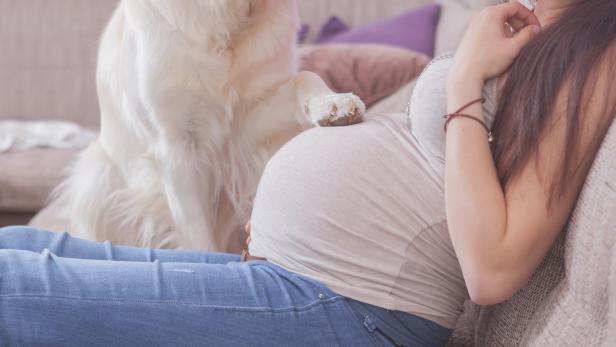 Frauen mit Hunden haben die gesünderen Babys