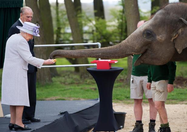 Queen Elizabeth II beim Elefantenstreicheln