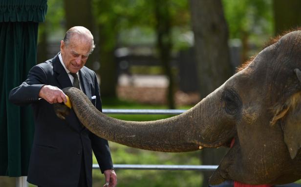 Queen Elizabeth II beim Elefantenstreicheln