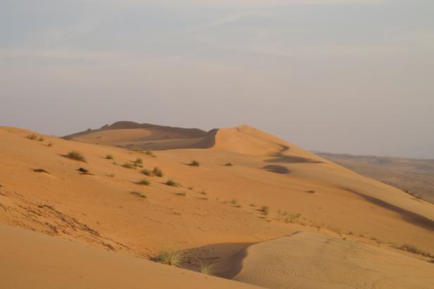 Österreichische Forscher: Wüste im Oman als Testgelände für Marsmission