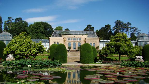 Das Große Tropenhaus im Botanischen Garten Berlin spiegelt sich im Seerosenteich.