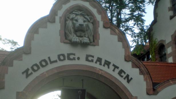 Der Eingang zum Zoologischen Garten mit einer Löwenstatue.