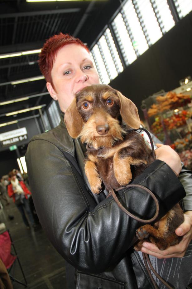 Eine Frau hält einen braunen Dackel im Arm.