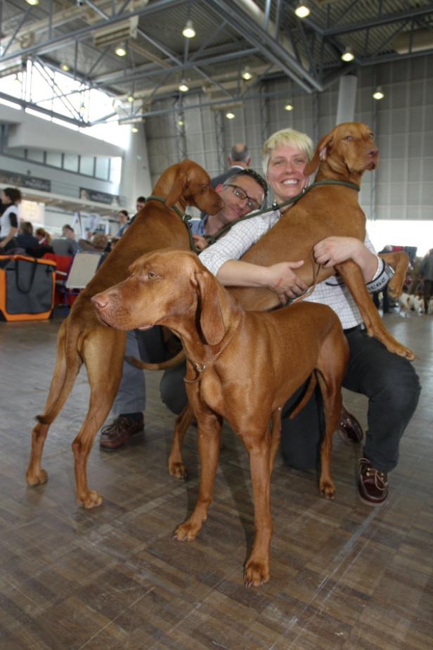 Eine Frau und ein Mann posieren mit drei Magyar Vizsla Hunden.