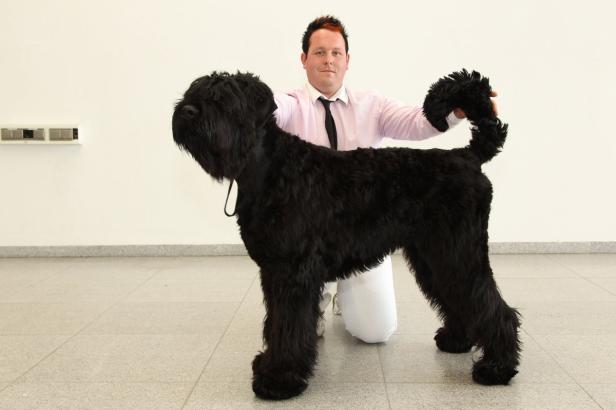 Ein Mann kniet hinter einem großen, schwarzen Russischen Terrier.