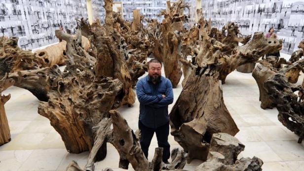 Der Künstler Ai Weiwei steht inmitten seiner Installation aus Baumwurzeln.