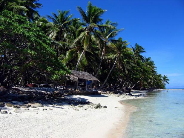 Ein tropischer Strand mit Palmen und einer kleinen Hütte unter blauem Himmel.