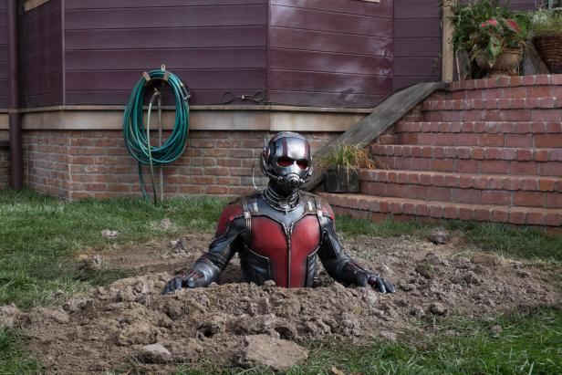 Ant-Man steckt bis zur Brust in einem Loch im Rasen vor einem Haus.