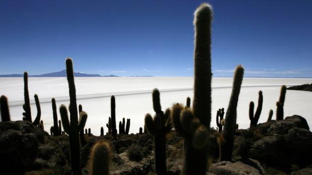 Evo Morales und das Salz der Wüste